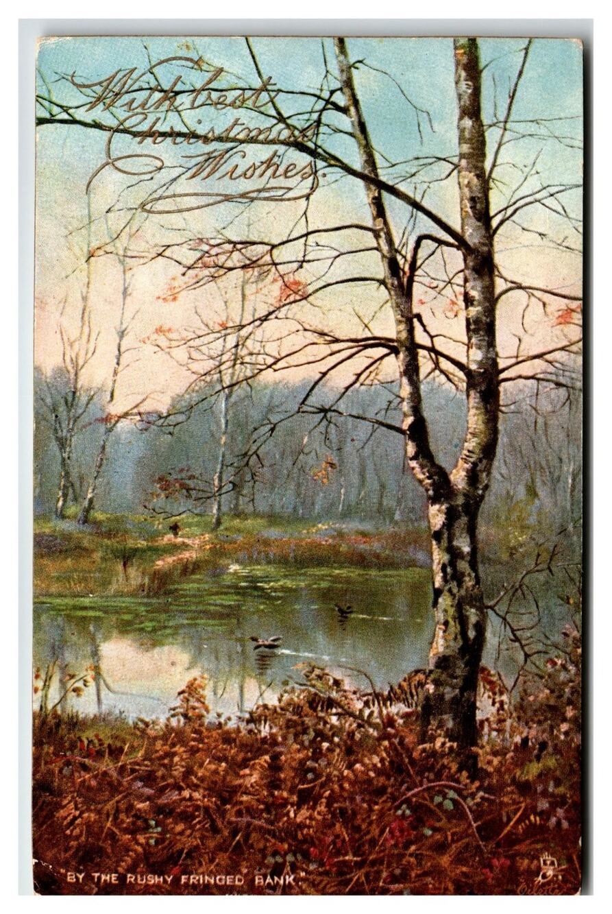Raphael Tuck Oilette Postcard: Silver Birches Winter Pond Christmas Wishes